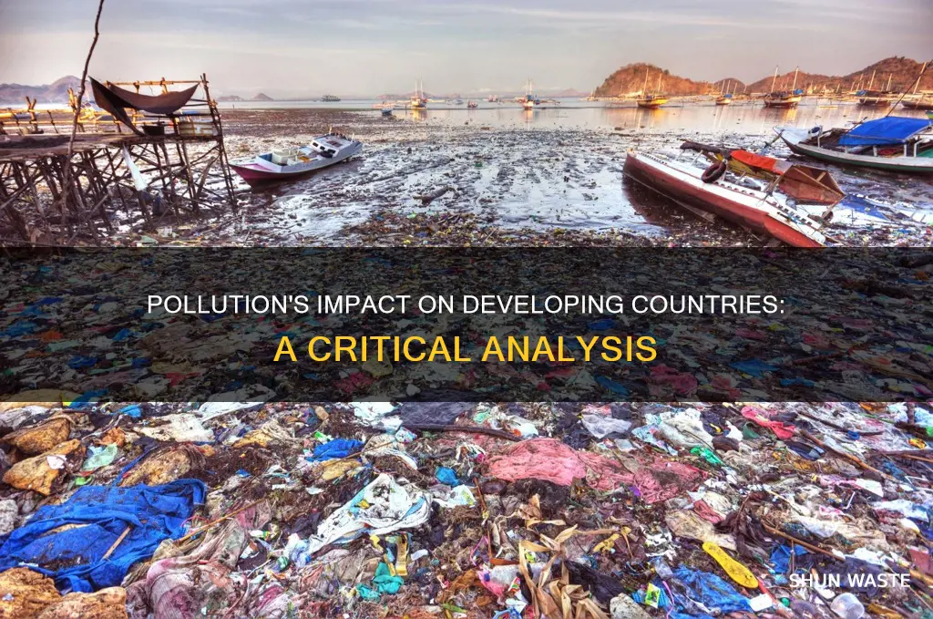 how does pollution affect developing countries