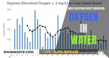 Pollution's Impact: How It Depletes Water's Vital Oxygen Levels