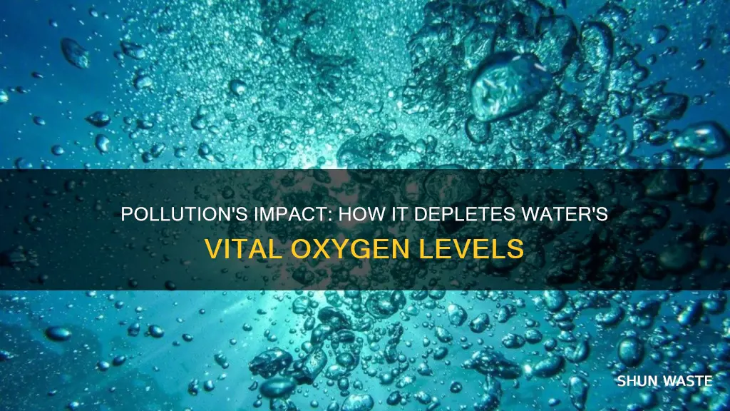 how does pollution affect dissolved oxygen in water