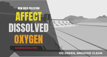 Pollution's Impact: Dissolved Oxygen Levels and Aquatic Life