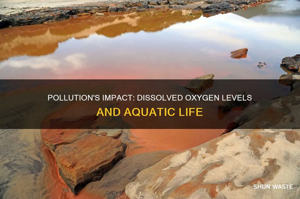 how does pollution affect dissolved oxygen