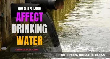 Pollution's Impact on Drinking Water Sources