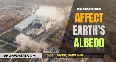 Pollution's Impact: Earth's Albedo and its Consequences