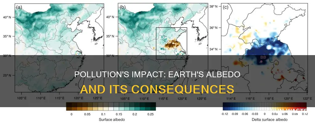 how does pollution affect earth