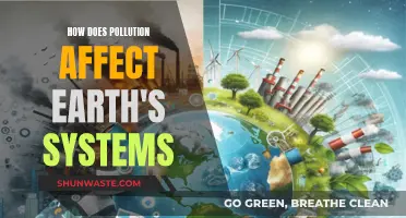 Pollution's Impact: Earth's Systems Under Threat