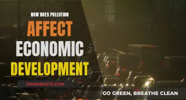 Pollution's Impact: Economic Development Stunted