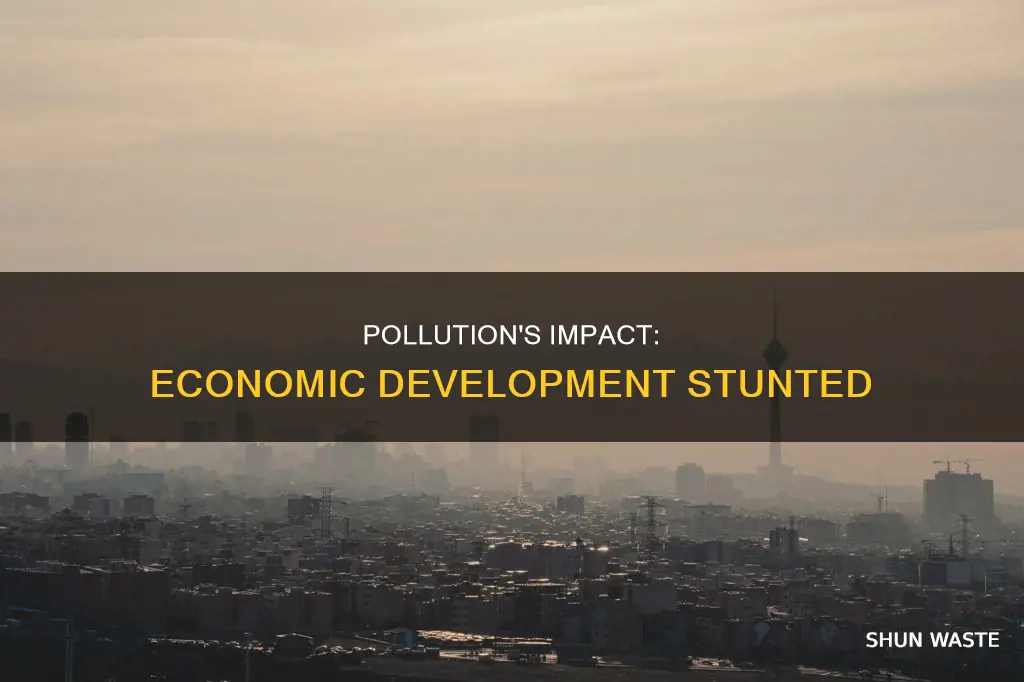 how does pollution affect economic development