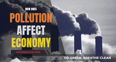 Pollution's Economic Impact: A Costly Affair