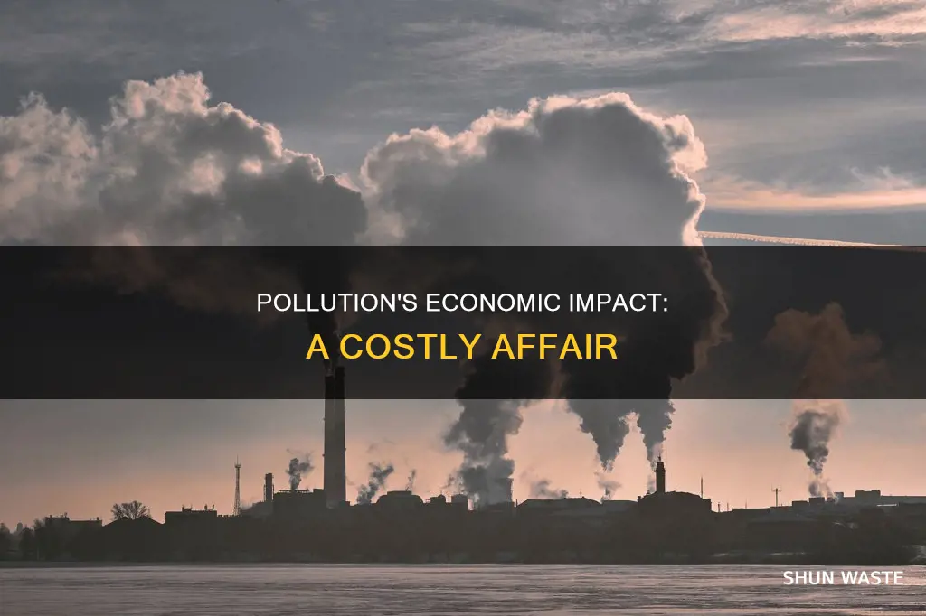 how does pollution affect economy