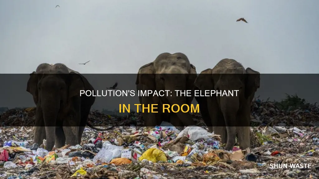 how does pollution affect elephants