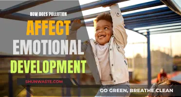 Pollution's Emotional Fallout: Impacting Mental Health and Development