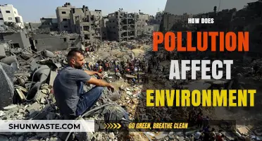 Pollution's Devastating Impact: How It Destroys Our Environment and Ecosystems