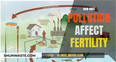 Pollution's Impact: Fertility and Health