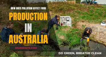 Pollution's Impact on Australian Food Production and Security