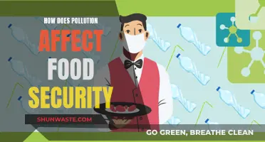 Pollution's Impact: Food Security and Sustainability