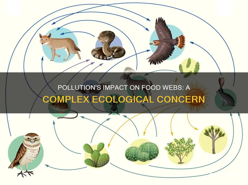 how does pollution affect food webs