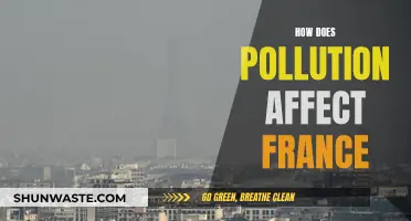 Pollution's Impact on France: A Comprehensive Overview