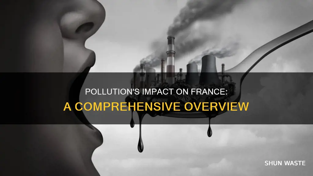 how does pollution affect france