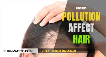 Pollution's Impact: Hair and Scalp Health