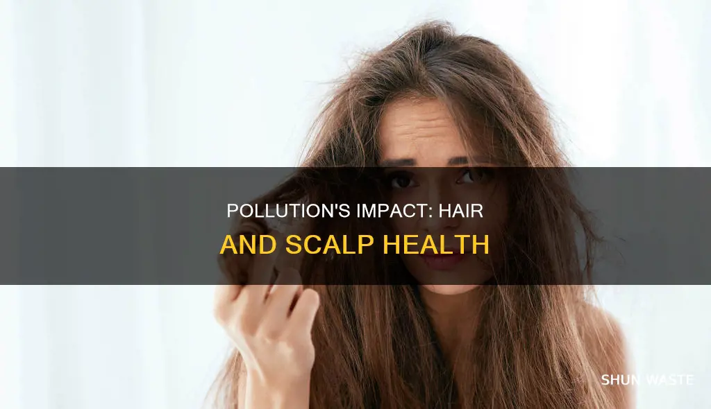 how does pollution affect hair