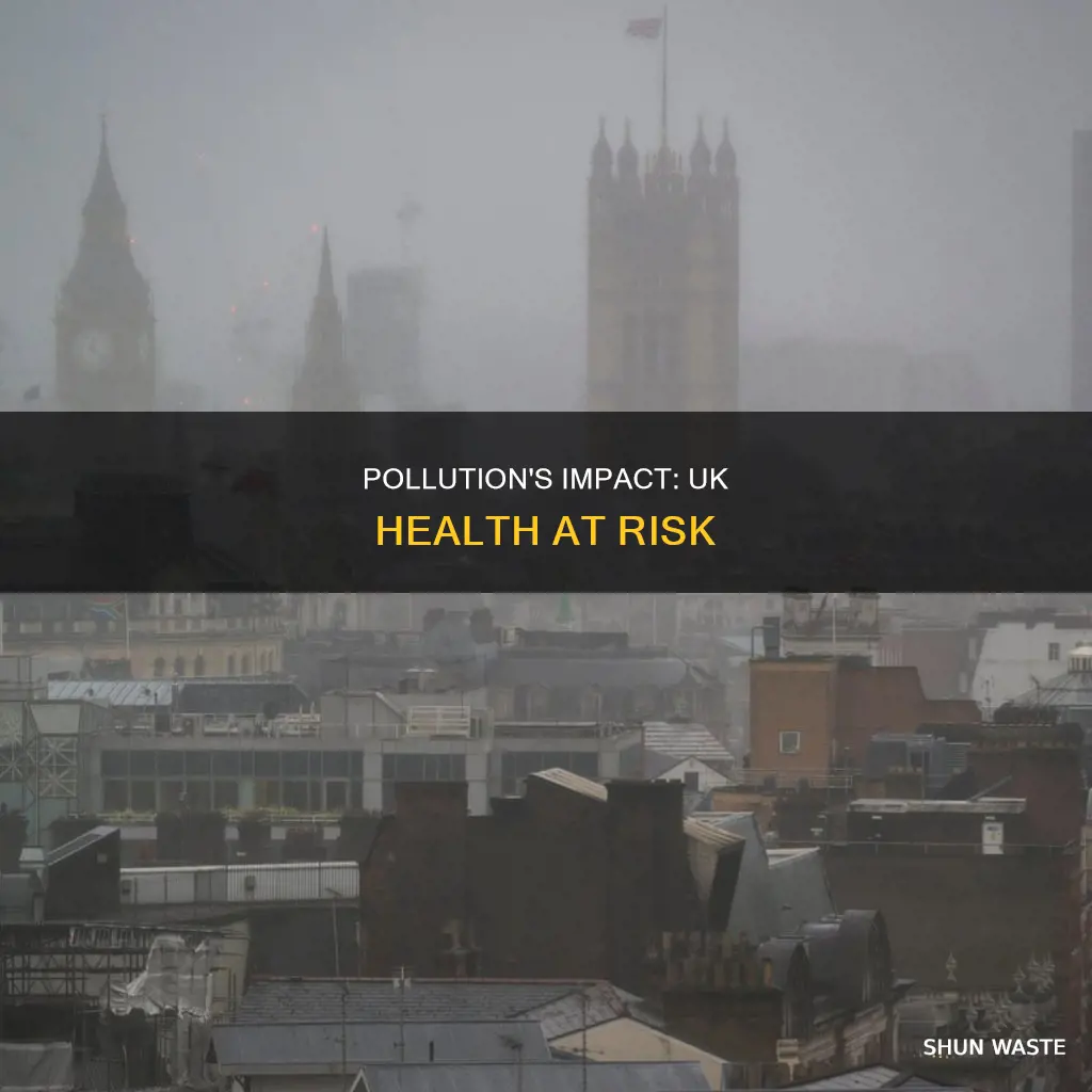 how does pollution affect health in the uk