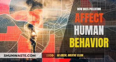 Pollution's Impact: Human Behavior Changes and Challenges