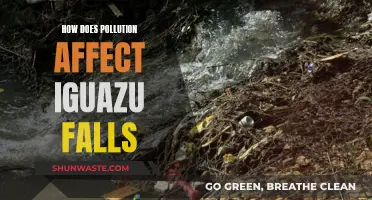 Pollution's Impact on Iguazu Falls: A Natural Wonder's Plight