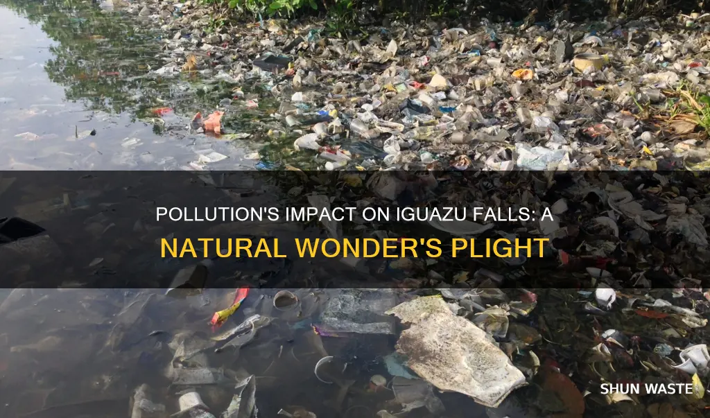 how does pollution affect iguazu falls