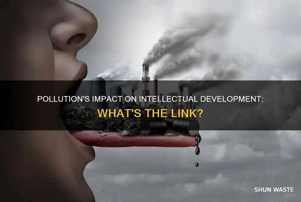 how does pollution affect intellectual development