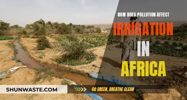 Pollution's Impact on African Irrigation: A Troubling Reality