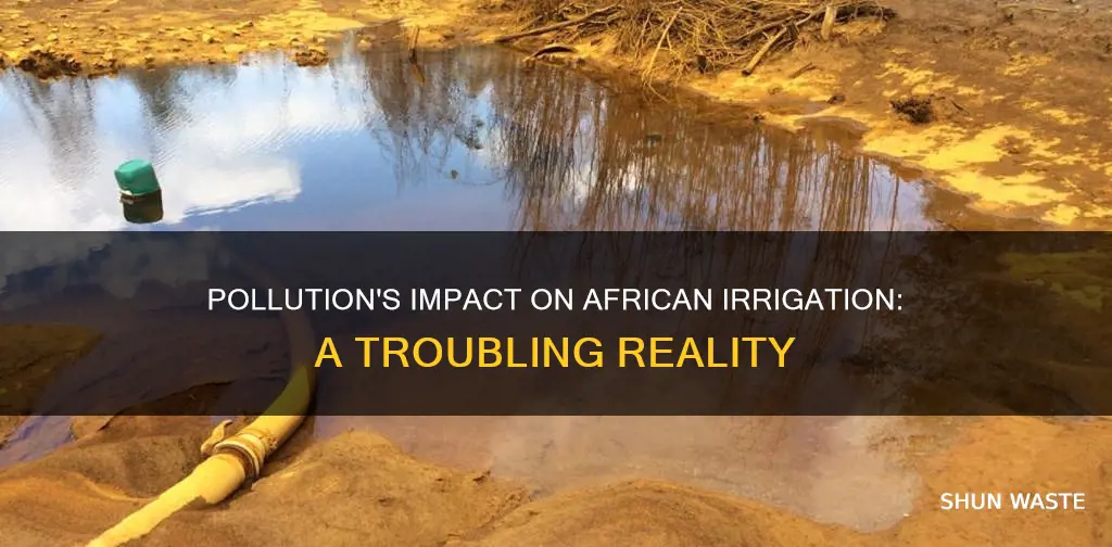 how does pollution affect irrigation in africa