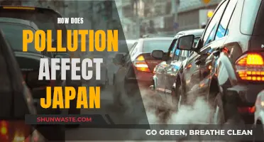 Pollution's Impact on Japan: A Comprehensive Overview