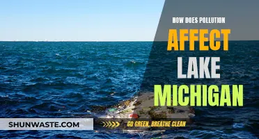 Lake Michigan's Pollution: Impact and Solutions