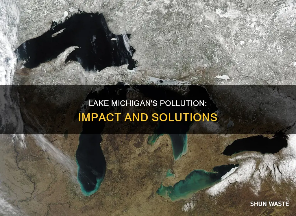 how does pollution affect lake michigan