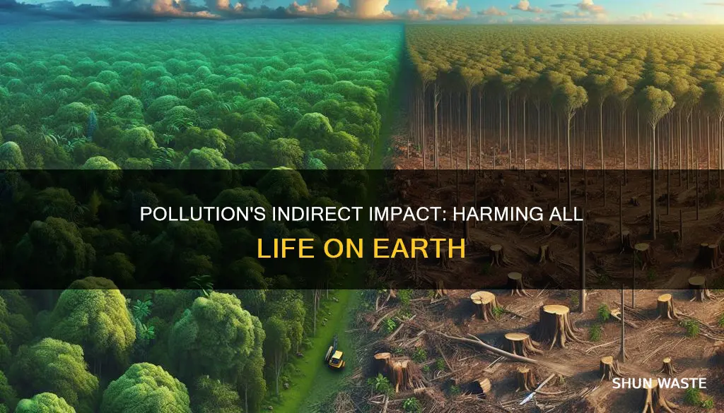 how does pollution affect living things indirectly