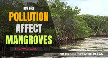 Mangroves' Resilience: Battling Pollution's Impact