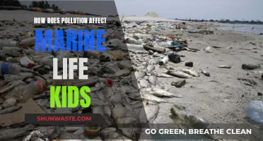 Pollution's Impact on Marine Life: A Kid's Guide