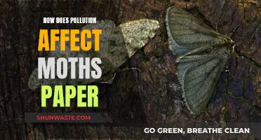 Moths: Pollution's Unseen Victims