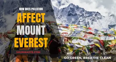 Everest's Pollution Problem: Impact and Solutions