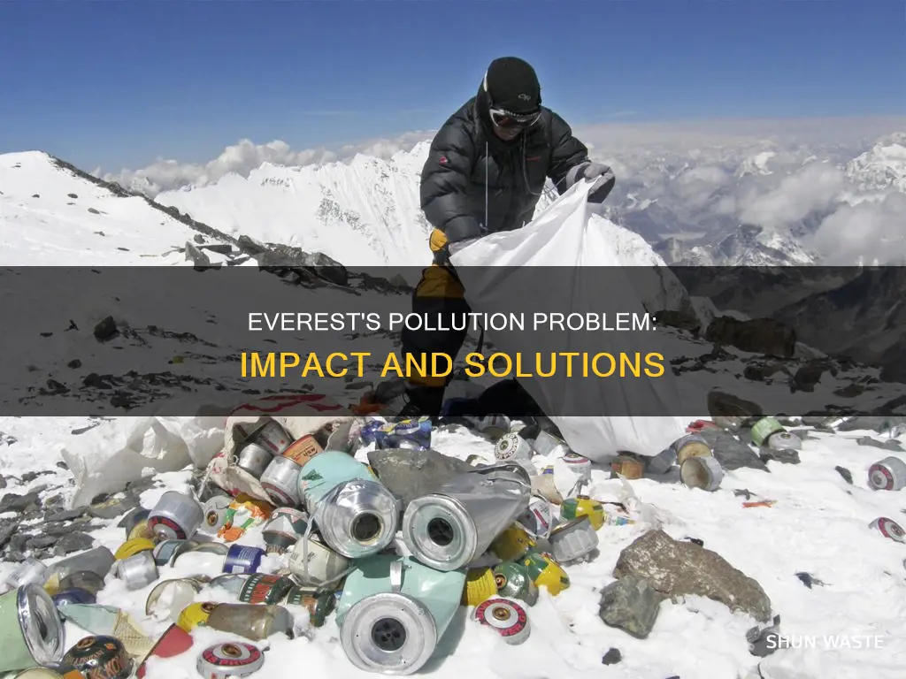 how does pollution affect mount everest