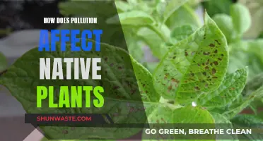 Pollution's Impact: Native Plants' Struggle for Survival