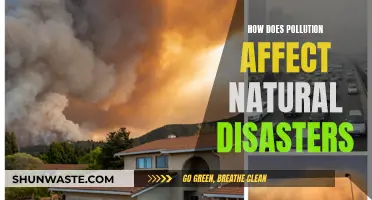 Pollution's Impact: Worsening Natural Disasters and Their Devastation