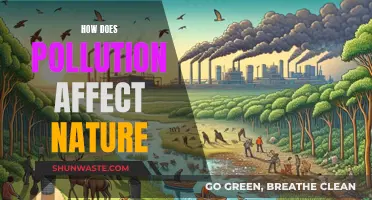 Pollution's Impact: Nature's Struggle and Resilience