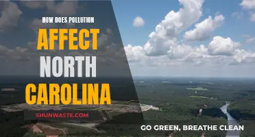 Pollution's Impact on North Carolina's Environment and Health