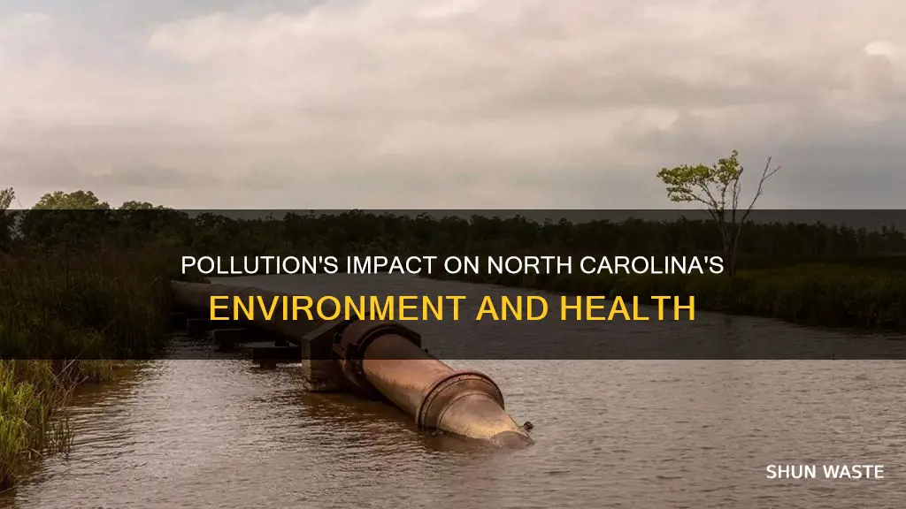 how does pollution affect north carolina