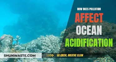 The Dark Side of Pollution: Ocean Acidification