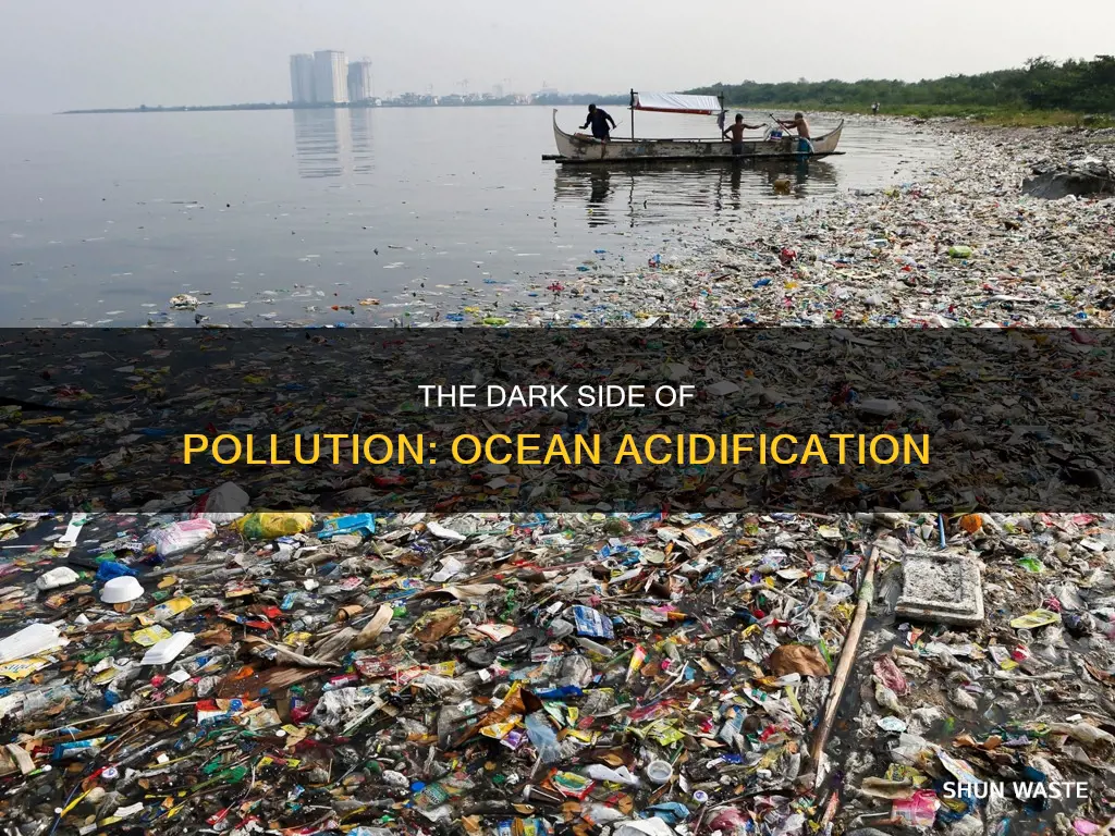 how does pollution affect ocean acidification