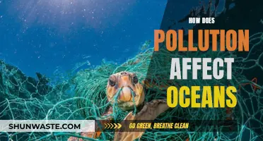 Pollution's Impact on Our Oceans: Understanding the Devastating Effects