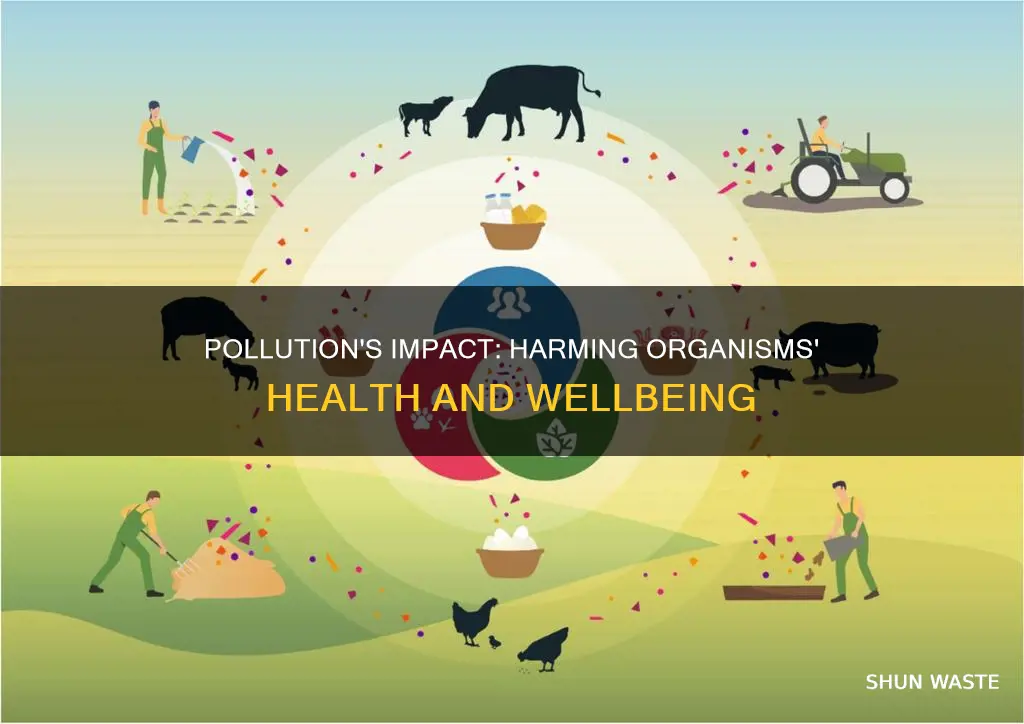 how does pollution affect organisms