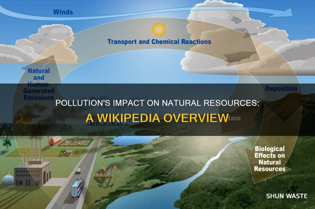 how does pollution affect our natural resources wikipedia